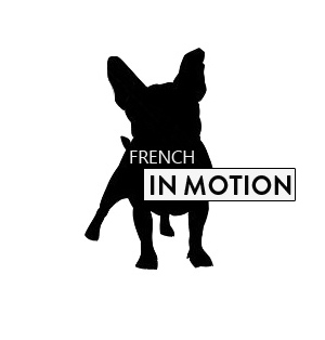 French in Motion - Konzeption Webseite